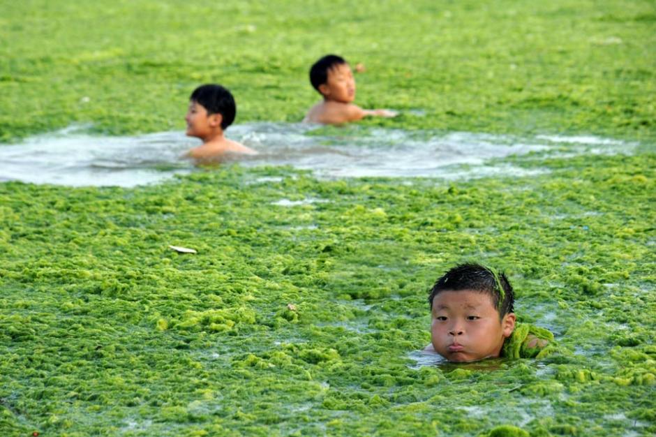 Varios ni&ntilde;os se divierten en las aguas del Mar Amarillo en China, mientras las algas invaden las playas locales. (Foto: Zuma Press)