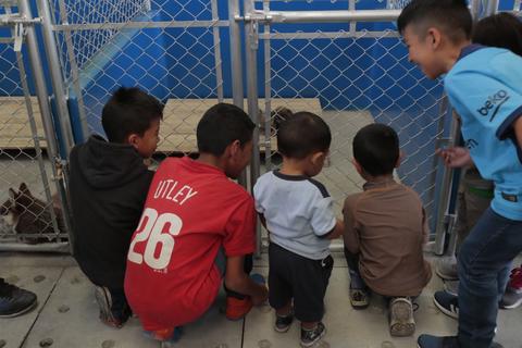 Neto Bran inaugura un albergue municipal para animales