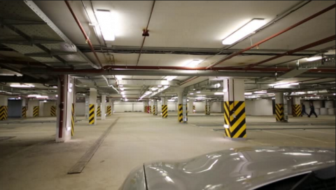 Carta a la joven de Arkadia