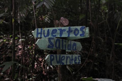 "Jungla Urbana" te invita a cuidar uno de los pulmones de la ciudad 