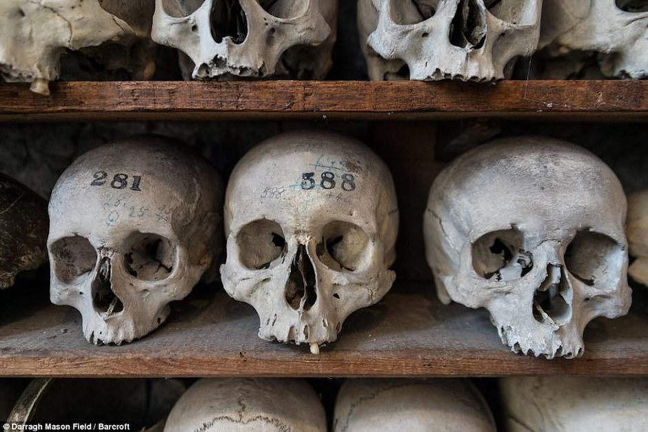 Descubren una cripta con m&aacute;s de 2 mil cr&aacute;neos y huesos humanos