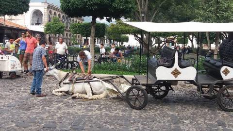 Caballo cae rendido luego de halar carreta en Antigua Guatemala