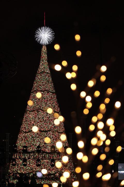 Las luces del árbol de los guatemaltecos iluminan la ciudad 