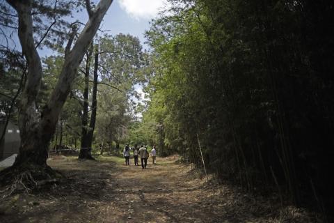 La "Reserva Natural Sisters de Maryknoll" es protegida por niñas 