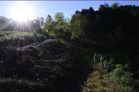 Biotopo de la Sierra de las Minas te hará sentir en "Las Nubes"