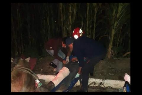 Carro atropella a un caballo y dos personas en plena carretera