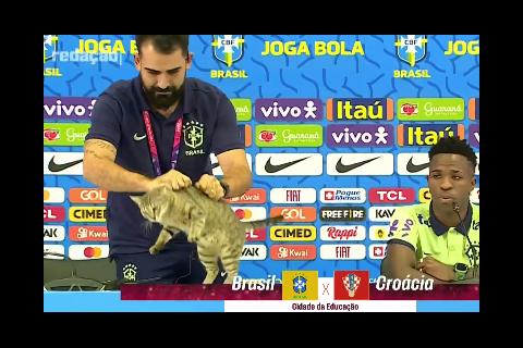 Indignaci&oacute;n por el trato que recibe un gato en plena conferencia de Vinicius (video)