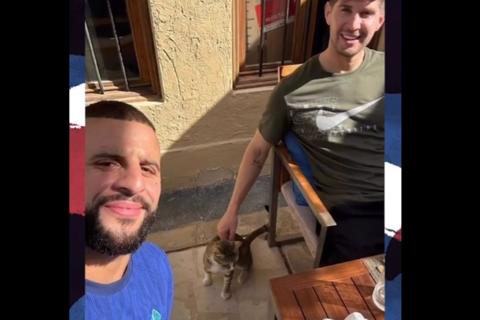 Jugadores de Inglaterra adoptaron un gato callejero de Qatar tras la eliminaci&oacute;n