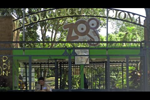 Nayib Bukele cierra zoológico de El Salvador e indemniza a sus empleados