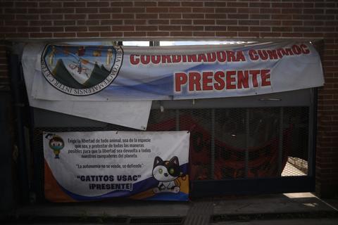 Estudiantes de la Usac exigen respuestas por la elección a Rector