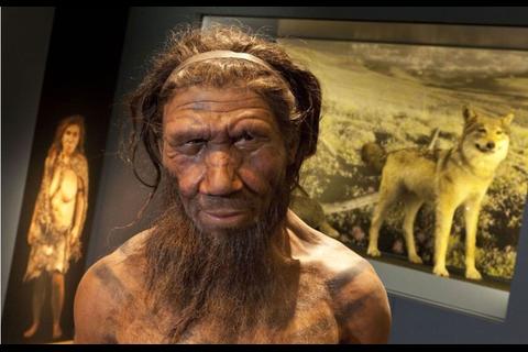 Los neandertales y su impresionante parecido con el ser humano