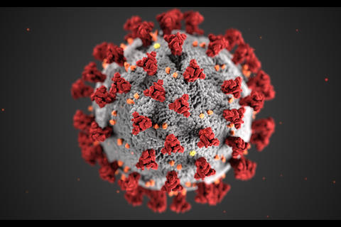 Ortro, la nueva y preocupante variante que ha sido detectada 