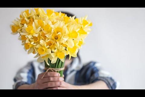 &iquest;Por qu&eacute; se regalan 'flores amarillas' el 21 de marzo?