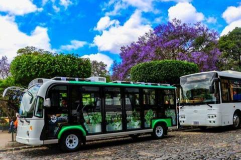 Antigua Guatemala ofrece buses gratuitos a nacionales y turistas