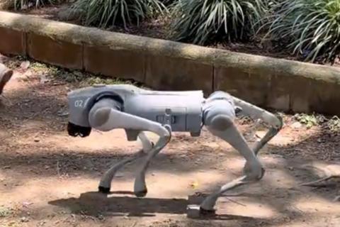 El perro robot que llam&oacute; la atenci&oacute;n en Avenida Las Am&eacute;ricas (video)