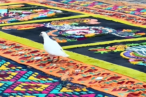 La paloma que se pase&oacute; en una alfombra de Antigua Guatemala