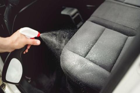 Tapicería en buen estado brinda comodidad y entorno sano