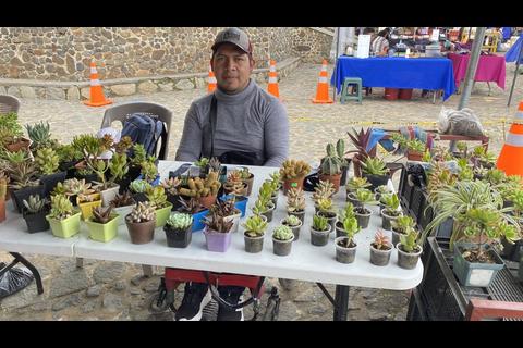 Bonsáis y suculentas, la terapia que transformó a Rony Chex.