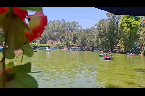 Lago y bosques de pinos: la magia de Los Aposentos