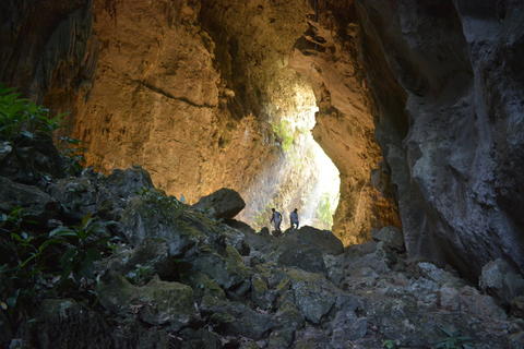 Cueva El Jard&iacute;n: El bosque que crece dentro de la roca en Mucbilha&rsquo;