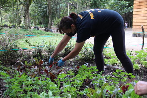 Senderismo, juegos y naturaleza: As&iacute; es el recuperado Parque Lomas de Pamplona.