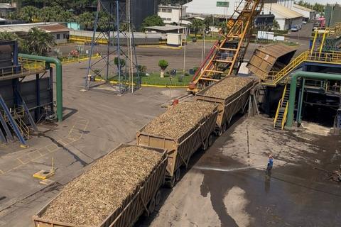 Anuncian inicio de la temporada de zafra en el pa&iacute;s