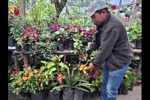 Cómo Mario Sánchez transformó su amor por las flores en negocio