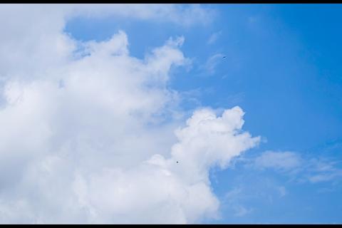 ¿Ambiente cálido? Así estará el clima este sábado 13 de diciembre