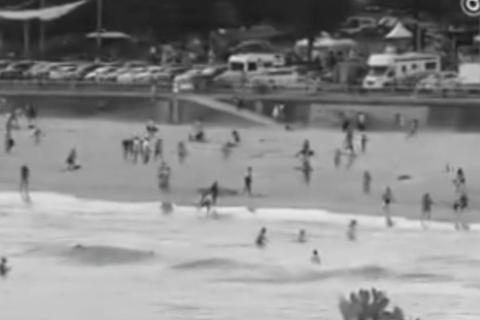 Im&aacute;genes del ataque armado en playa de Australia (video)
