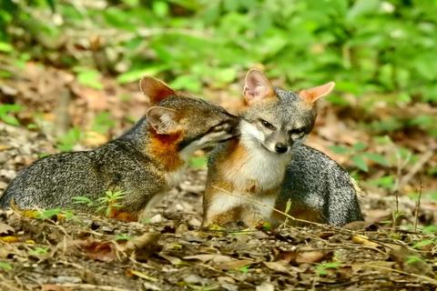 &iquest;Sab&iacute;as que este biotopo esconde la historia del poderoso Reino Kan?