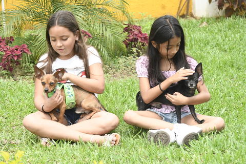 &iquest;Mascotas en casa? Adopta estas rutinas de limpieza para cuidar tu hogar