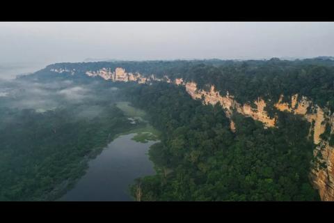 Jaguar, Tikal y 2.1 millones de hect&aacute;reas: El tesoro guatemalteco en riesgo