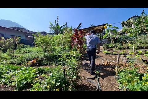 Hotel Tolim&aacute;n promueve el turismo sostenible en Solol&aacute; con su huerto org&aacute;nico