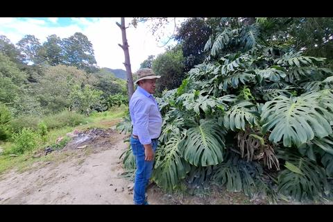 Conservaci&oacute;n vital: el banco gen&eacute;tico que protege 300 especies