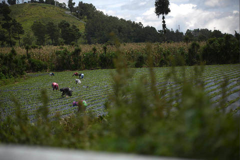 Empresarios de la Cámara del Agro reprueban gestión de Bernardo Arévalo