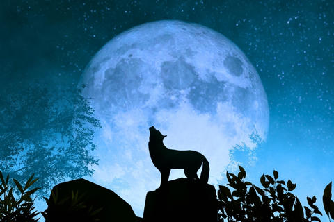 &iquest;Por qu&eacute; se se llama la Luna de Lobo a la Luna llena de enero? 