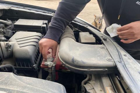 Alerta con las luces del tablero de tu veh&iacute;culo