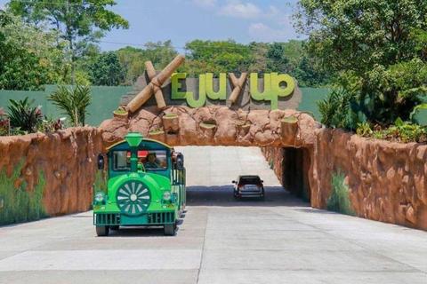 &iquest;Quieres trabajar en el Irtra? Aplica as&iacute; a las nuevas plazas disponibles