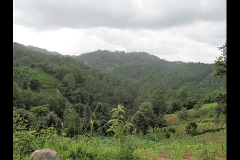 Rastros del pasado: As&iacute; luce la antigua y olvidada mina de n&iacute;quel de Pamumus