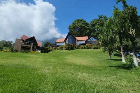 Finca vinculada a Giammattei podría valer $5 millones, dice MP 