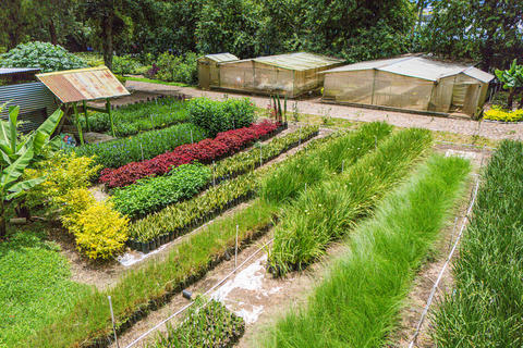 ¿Sabías que el Vivero Urbano es un centro de capacitación para jóvenes?