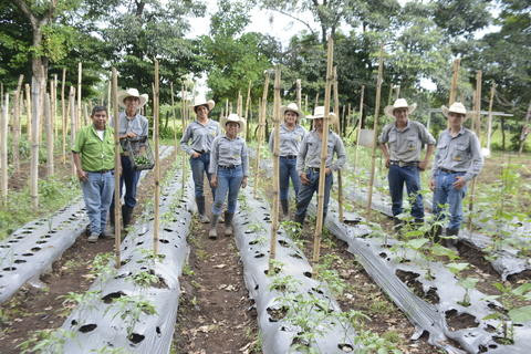 Consejos b&aacute;sicos para crear tu propio huerto familiar en casa