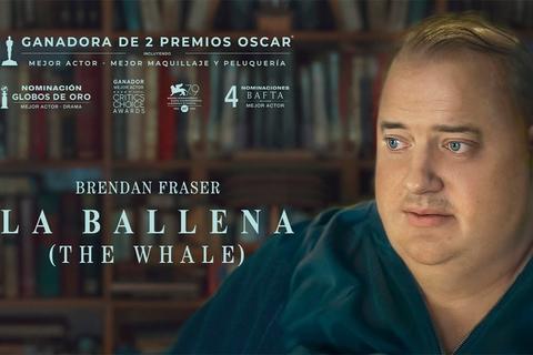 Actores que renacieron y volvieron a triunfar en Hollywood