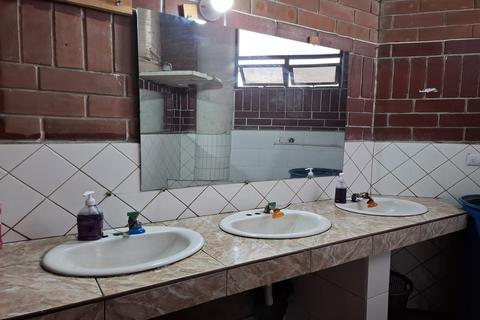 ¡Más que un reflejo! Así transforman los espejos la luz y el espacio