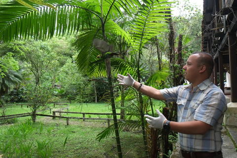  Parque Nacional Las Victorias: el pulm&oacute;n verde de Cob&aacute;n