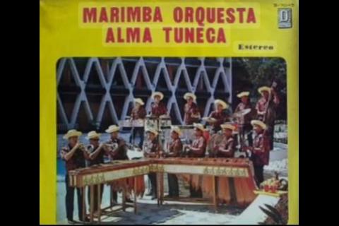 As&iacute; se convirti&oacute; Alma Tuneca en la agrupaci&oacute;n m&aacute;s conocida de Centroam&eacute;rica.