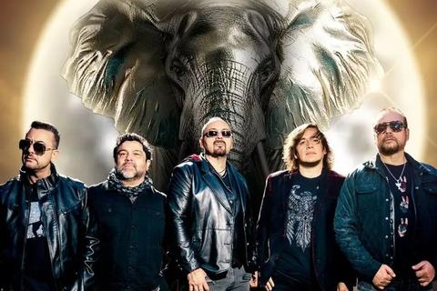 Elefante celebrará su '30 aniversario' en Guatemala