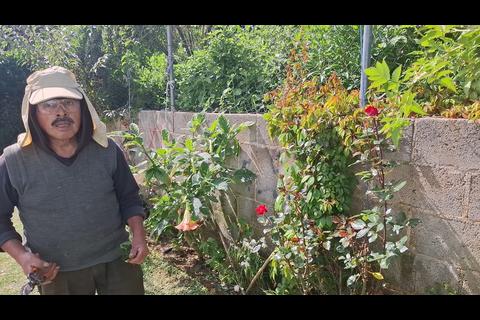 Consejos para cuidar tu jard&iacute;n con flores resistentes