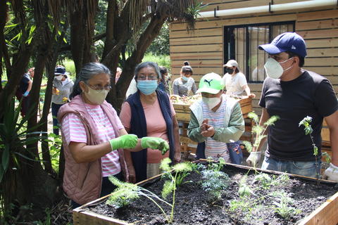 Parque ecológico en zona 13 enseña a crear huertos caseros