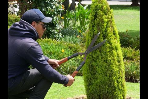 Jardines en casa: cuidados y plantas ideales para cada espacio